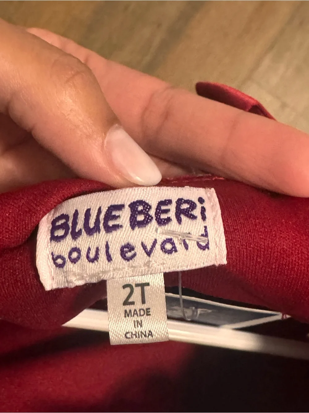 Blueberi Boulevard Red Velvet Party Dress for Kids